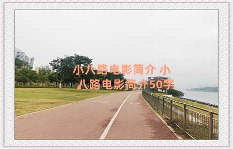 小八路电影简介 小八路电影简介50字